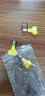 索夫（Suo Fu） 不锈钢抱箍喉箍卡子卡扣接头洗车水管橡胶管煤气管固定 10-16mm管箍（10个装） 实拍图