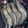 海小舟 虾 厄瓜多尔白虾大虾 新鲜盐冻不包冰海虾虾类海捕生鲜 南美白对虾（30/40）1.65kg/盒 实拍图
