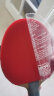 DONIC多尼克套胶 F1乒乓球拍胶皮反胶 DESTO德士途 红色MAX 实拍图
