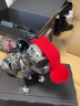 AERO SYSTEM法国官方斗牛犬无线蓝牙音响低音炮手机便携电脑桌面音箱音响（JARRE) AeroBull XS1斗牛犬音箱-镀银 实拍图