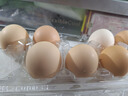 我老家 农家谷物鸡蛋 山林散养初生蛋鲜鸡蛋 10枚装400g 实拍图