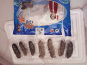 董二胖【有机】大连海参鲜食刺参 即食免洗单独装 送礼高品质生鲜水产 8A参王 5-6只/1斤 7斤 (送鲍汁大礼) 实拍图