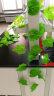 绿秀 葡萄藤条仿真藤蔓绿植阳台空调管暖气装饰水管道假花假树叶 每包12根(每根20片特大号叶片) 实拍图