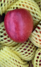 京鲜生 油桃 鲜桃子500g尝鲜装 单果60-80g  新鲜时令水果 实拍图