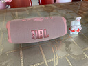 JBL CHARGE6 音乐冲击波六代 冲击波5/6 便携式蓝牙音箱+低音炮 AI音效增强 户外防尘防水 桌面音响 【便携式蓝牙音箱】charge6黑橙 实拍图