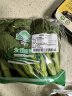 【高原夏菜】 菜心苗250g 实拍图