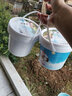 菇婆婆DIY平菇蘑菇种植桶装食用菌盆栽蘑菇菌包家庭种植蘑菇菌包 榆黄蘑 实拍图