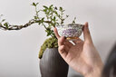 银斯妮 银茶杯999足银内胆功夫茶主人杯缠枝莲花景泰陶瓷杯家用建盏杯蓝 50毫升 白 6.8cm*3.2cm 实拍图