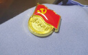 星人说 标准款磁铁党徽胸章 强磁扣加厚高档徽章党员党徽别针蝴蝶扣队徽镀金为人民服务徽章 单面磁扣 一件100个 实拍图
