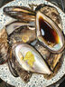 十里馋连云港鲜活青口贝贻贝顺丰特大新鲜大海虹鲜活淡菜 鲜活发货【顺丰】 3斤(净重) 实拍图
