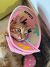 KimPets宠物伊丽莎白圈猫咪防舔头套狗狗防抓挠防咬项圈脖圈绝育驱虫用品 【防水防挣脱】幸运多巴胺 M(颈围24-31cm 适合6-13斤宠物) 实拍图