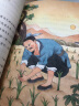 校校悦读三年级 金光婆婆的宝藏精灵遇上怪小孩浙江少年 自由烂漫的童年花的学校 童年暖阳绿香皂拉封丹寓言安徽儿童出版社 三年级4本套装（咨询团购更优惠） 晒单实拍图