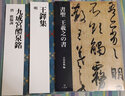二玄社 进口字帖 中国法书选53王铎集毛笔字帖 文房四宝临摹书法字帖 实拍图