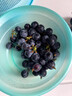 云南夏黑葡萄新鲜2024应当季无籽葡萄黑加仑提子孕妇水果整箱 5斤(单果10g+) 实拍图