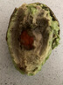 牛油果先生牛油果先生（轻食）秘鲁应季当季水果原装整箱进口牛油果（熟果） 巨无霸14个装（单果重190g+） 熟果 实拍图