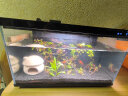 米家智能鱼缸小米智能鱼缸小型客厅水族箱自动喂食智能联动生态过滤 【加热套装】鱼缸+画法几何加热棒 实拍图