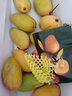 果迎鲜芒果 4.5斤 贵妃芒 新鲜水果 生鲜 海南小贵妃芒果单果60-100g 实拍图