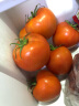 绿鲜森（lvxiansen）（拍3份1斤装发5斤）西红柿沙瓤新鲜蔬菜健康轻食 1斤试吃 实拍图