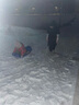 博沃尼克 滑雪板儿童加厚耐磨成人爬犁滑草板滑雪板单板户外滑沙板雪橇车 蓝色双人 大号 实拍图