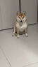 多可特（D-cat）狗罐头狗零食罐头成犬幼犬全品种狗粮伴侣狗狗湿粮膳食罐 【科学配比】牛肉味85g12罐 实拍图