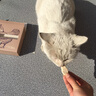 爪子心选（PETCHOICE）猫咪零食冻干宠物狗狗鸡胸肉多春鱼三文鱼干鸭肉牛肝蛋黄 鸡胸肉冻干50g（限时买1送1） 实拍图