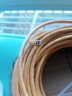 正泰（CHNT） 电线电缆100米网线六类双绞线 六类 10米(散剪不支持退换) 实拍图