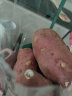 粤品新鲜番薯红薯爆皮王现挖山芋广西广东茂名高州冰淇淋一点红小地瓜 5斤 白肉红薯 中薯 实拍图