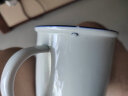 云帝 轻奢高档陶瓷办公杯家用喝茶杯子带手柄盖咖啡杯泡茶杯早餐杯 奋斗的青春-陶瓷杯 实拍图