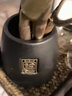 琦轩源 茶道六君子茶具套装家用茶道配件陶瓷功夫茶勺茶夹竹茶针茶盘摆件 粗陶福锦茶道筒（雅黑）+佛手五件套+茶刮+素净茶杯 实拍图