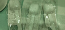 AMWAY美国安利纽崔莱蛋白粉植物蛋白质粉孕妇中老年儿童可用无糖成人 澳洲版蛋白粉450g*3桶（26年3月）送摇摇杯 实拍图