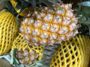 【海南金钻凤梨】当季新鲜水果 手撕凤梨 新鲜无眼台湾香水菠萝 9斤（4-6个装） 晒单实拍图