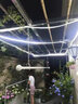 led灯带户外超亮防水220v高压吊顶装饰线条自粘5050家用工程灯条 10米 180灯/米 双排2835 铜线 超亮防水 白  其它 实拍图
