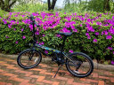 大行（DAHON）折叠自行车20英寸8级变速经典P8单车KBC083 灰色纪念款-京仓 晒单实拍图