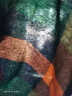 皮尔卡丹（pierre cardin）格子短外套女士季装春秋季2023年新款休闲小个子风衣时尚上衣显瘦 蓝绿格 L (100-110斤) 晒单实拍图