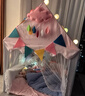 小斑鸠（little dove）儿童帐篷室内游戏屋/女孩公主房玩具屋礼物 粉色小屋(含加厚地垫) 实拍图