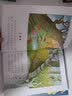 大自然温馨微童话集 10册 注音美绘版 王一梅 冰波作品 童话故事书 获奖绘本故事 一二三年级课外读物 实拍图