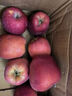 格沃斯（GEWOSI）【脆甜】正宗黑苹果应季水果高山冰糖心甘肃花牛（尾季偏红偏粉） 净重8.5斤【普通小果】 实拍图