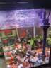 森森（SUNSUN） 鱼缸水族箱金鱼缸带灯鱼缸过滤器玻璃鱼缸桌面鱼缸 黑色 高清玻璃HR-380（带18件） 实拍图