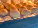 展艺烘焙原料 麻薯预拌粉 面包粉麻薯糕点原料高筋粉250g 实拍图