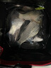 一味 仕挂伊势尼鱼钩套装子线组成品子线双钩绑好组鱼线 0.6m 1.5号 一味仕挂伊势尼5# 实拍图