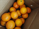 京鲜生伦晚脐橙绿色食品 净重9-9.5斤果径75-85mm 源头直发新鲜水果包邮 实拍图