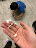 跃动(YUEDONG) 魔法棒2.0 速度花样跳绳学生胶绳成人跳绳运动花式跳绳 小童蓝色 实拍图