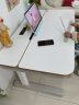 乐歌智能电动儿童学习升降桌青少年写字书桌家用台式电脑桌T4+A12蓝 实拍图