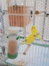 威毕鹦鹉鸟用饮水器小鸟鸟笼芦丁鸡自动下料喂鸟器喂食喂水壶鸟食食盒 自动下料器 实拍图