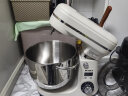 柏翠（petrus）厨师机和面机揉面机打蛋器轻音全自动多功能搅拌面包家用小型PE4633 实拍图
