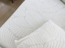 帕布（pabu）雕花绒沙发套罩全包通用无需测量三座一贵妃弹力防滑沙发垫盖布巾 大叶子-米白 三人（适用190-230cm长度）单件 晒单实拍图