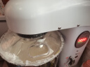 FEST搅拌机商用和面机奶油机鲜奶机打发器打蛋机7L奶盖机全自动多功能揉面机厨师机 单功能/带定时白色旗舰款/227A 实拍图
