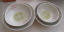 美浓烧（Mino Yaki）日本进口家用陶瓷钵套装简约餐盘日式餐具水果盘子菜盘10件套组合 晒单实拍图
