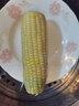 抱抱你 【大棒300g】头茬黄白玉米粘黏甜糯黑玉米棒营养代餐苞米玉米 【单根300g以上】白糯玉米10支装 实拍图