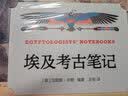 埃及考古笔记 实拍图